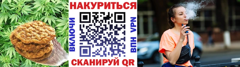 мориарти телеграм купить наркоту Дигора Cannafood конопля
