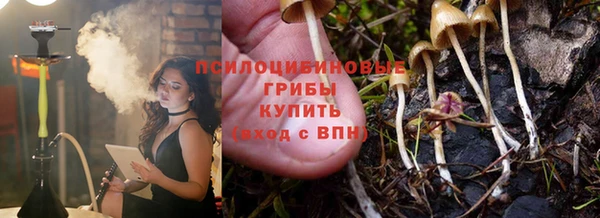 apvp Беломорск